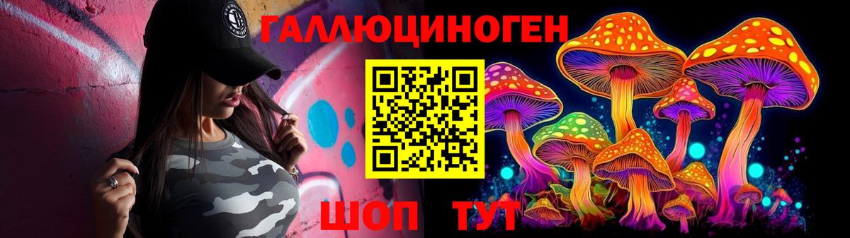Псилоцибиновые грибы Psilocybe  Вход с VPN  Отрадный 