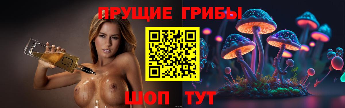 Псилоцибиновые грибы GOLDEN TEACHER Отрадный